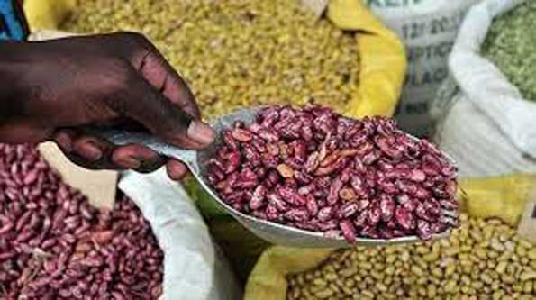 Prices of beans up: report