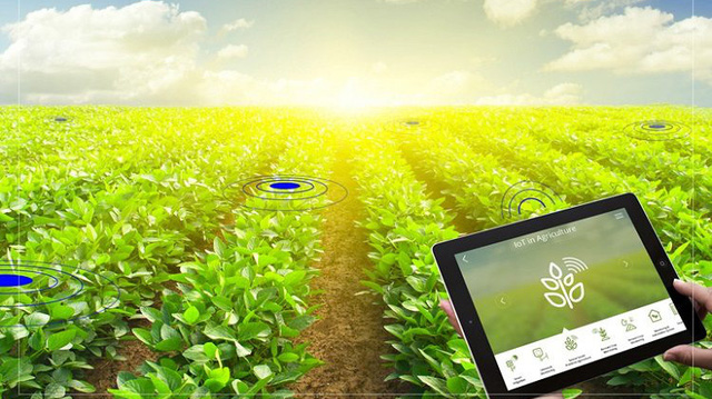 New digital system to facilitate actual data of crop harvests